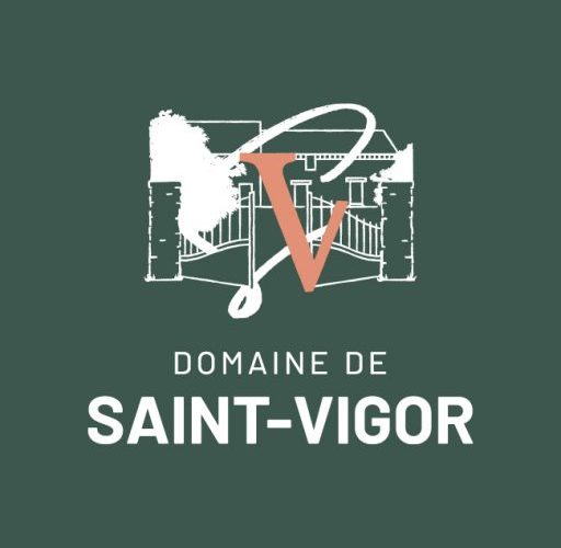 cropped-cdv_domaine_saint-vigor_recto1098.jpg